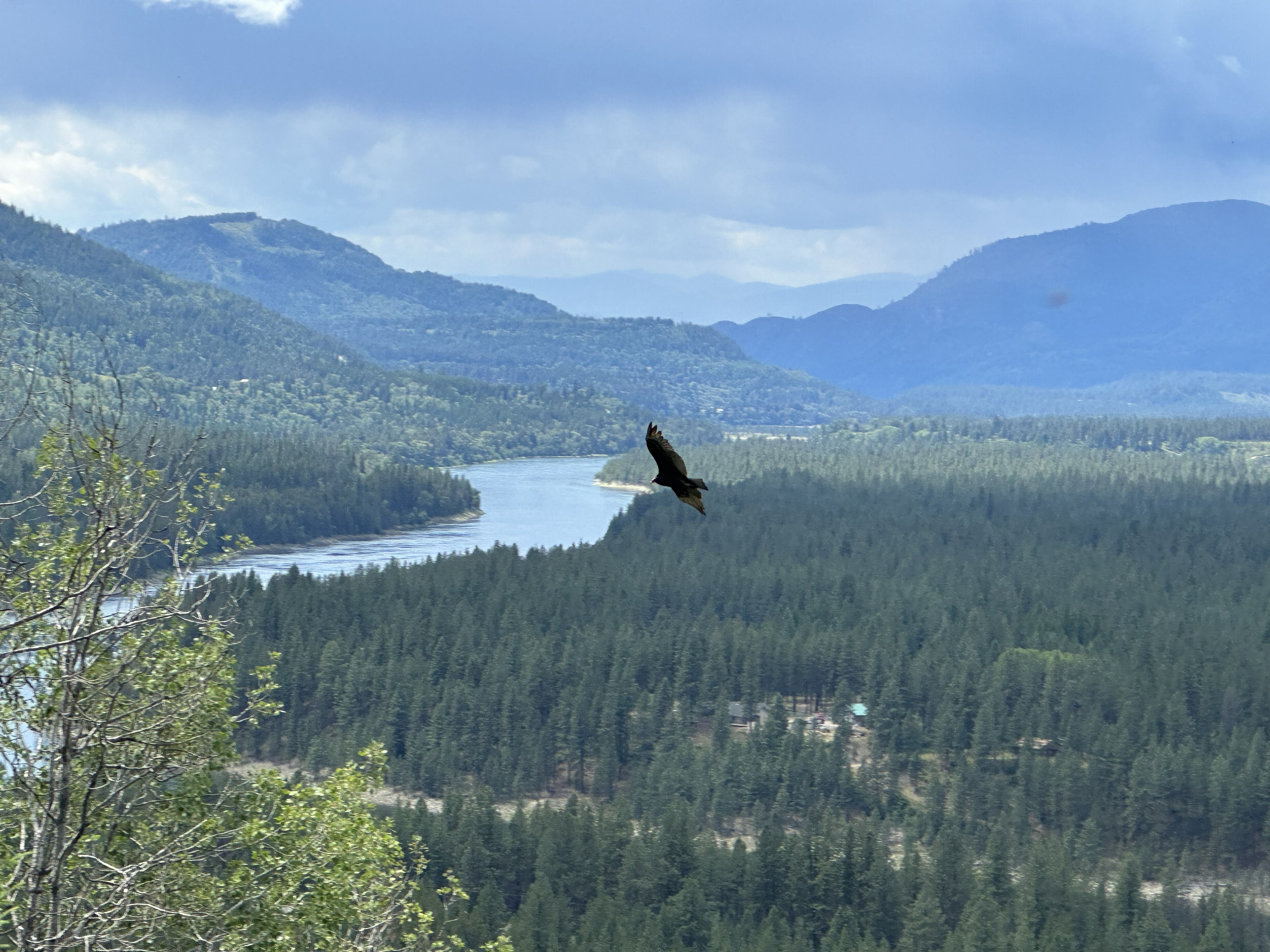 Columbia River Estate — property photograph, June 2024