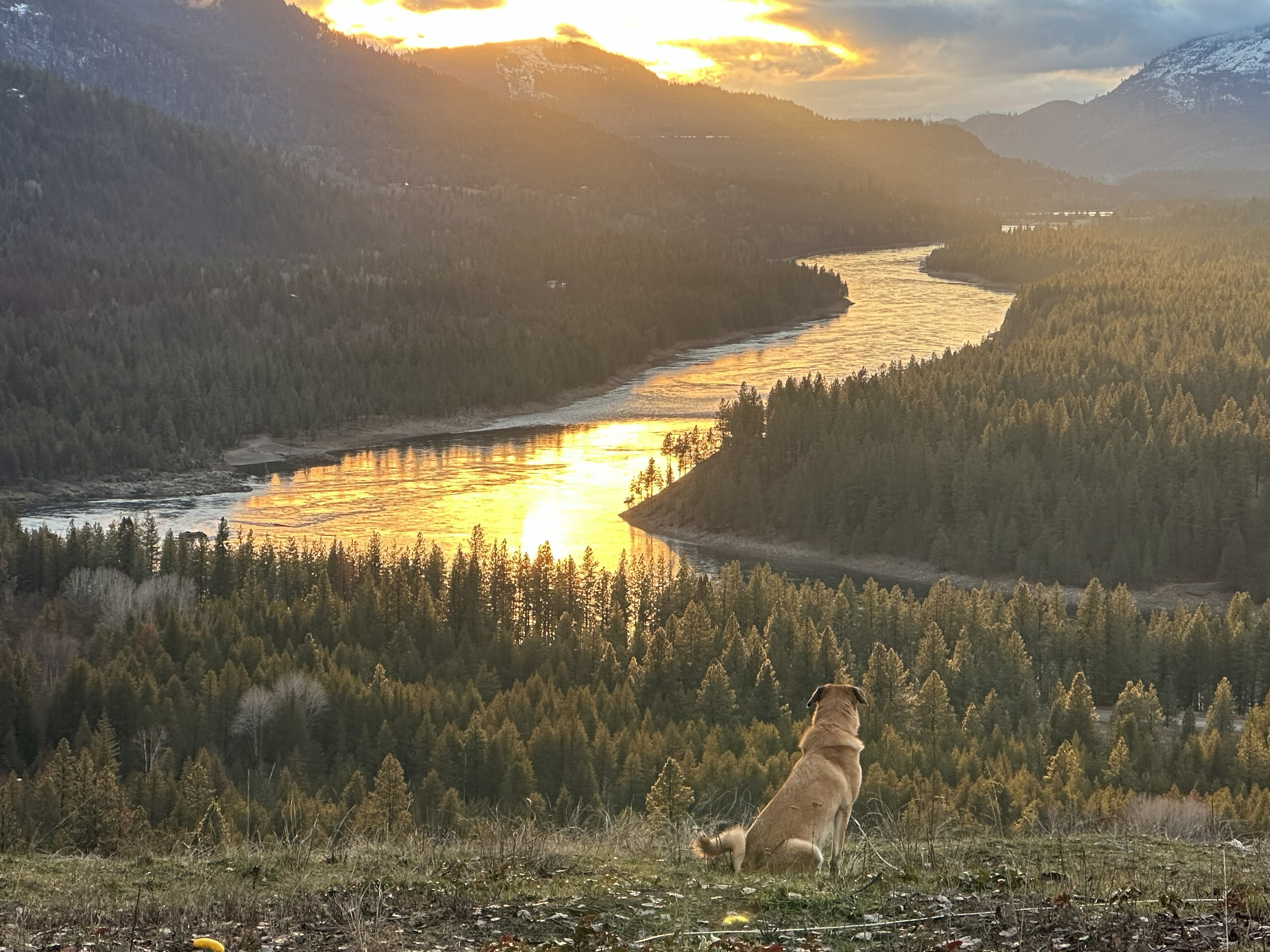 Columbia River Estate landscape
